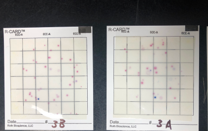 Bacteriological Thumbnail